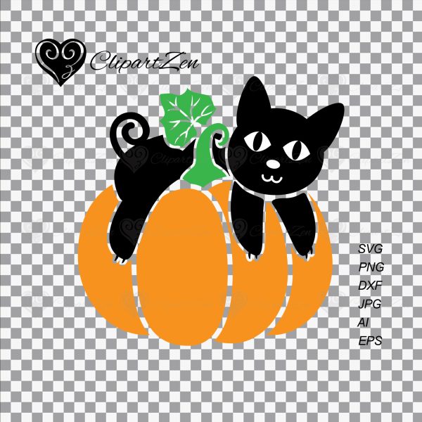 Black Cat on Pumpkin Transparent View